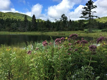 All About Lakes. Each Lake is Unique