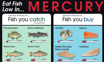 Eat Fish Low in Mercury