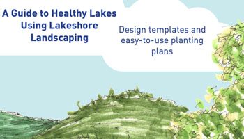 A Guide to Healthy Lakes