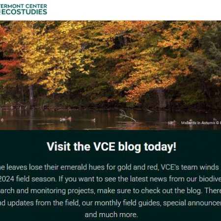 VT Center for Ecostudies