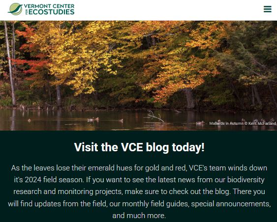 VT Center for Ecostudies