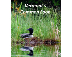 Vermont's Common Loon Lakeshore Owners Guide